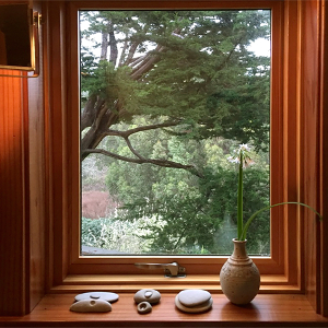 New Teak window and walls