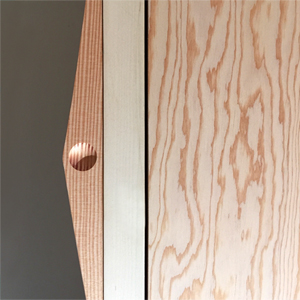 Custom Douglas Fir edge pulls and marine ply doors