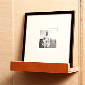 Prefinished plywood picture shelf