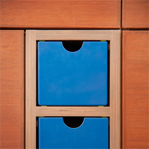 Walnut doors and stained plywood frame with inset metal drawers