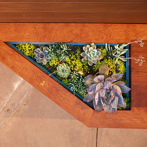 Redwood bench with inset planter